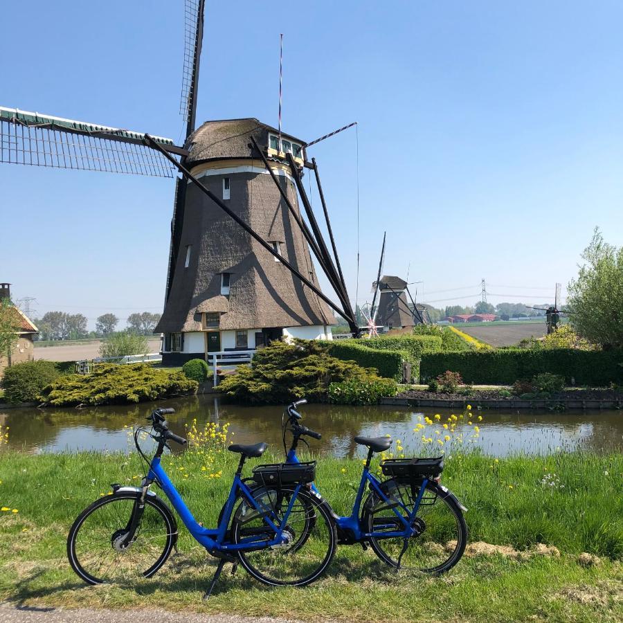 B&B Bleiswijk Exterior foto